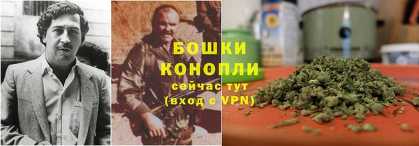 ГАЛЛЮЦИНОГЕННЫЕ ГРИБЫ Володарск