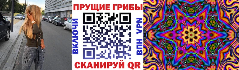 Псилоцибиновые грибы мухоморы Купить Велиж